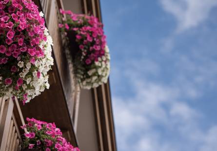 Hotel Valtellina Livigno